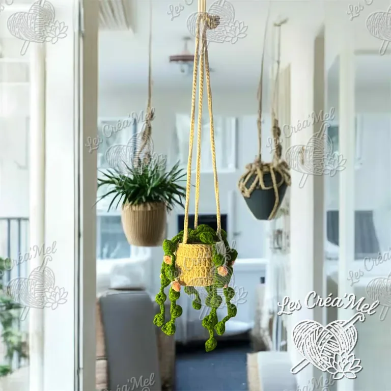 Plante suspendue