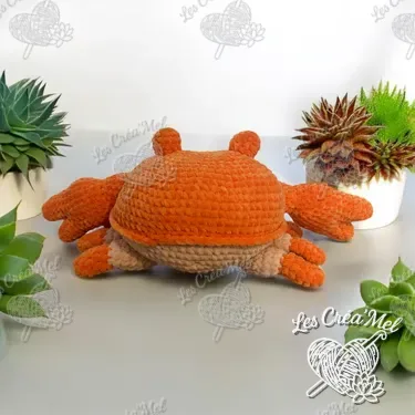 Mr Crabe — photo 2 sur 3