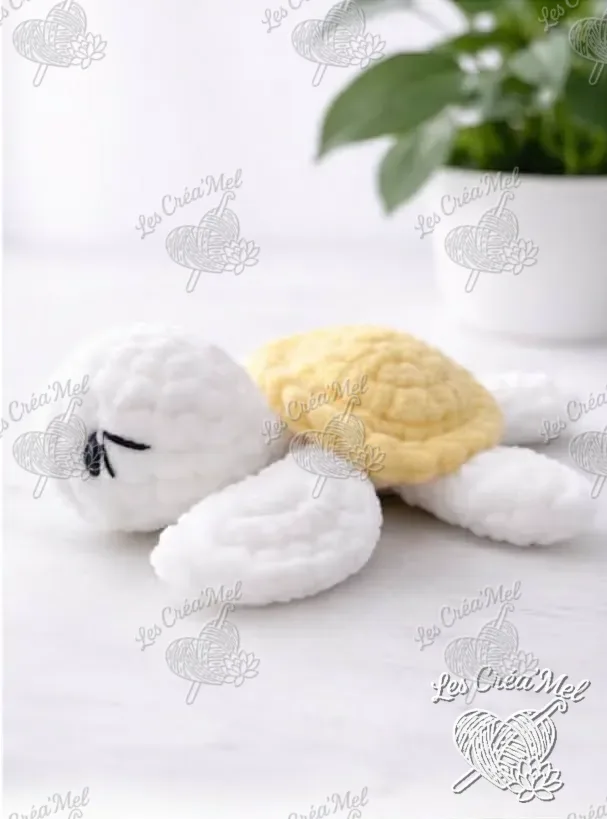 Mini Tortue — photo 4 sur 4