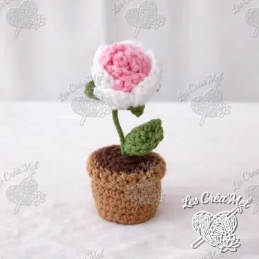 Mini pots de fleurs — photo 5 sur 7