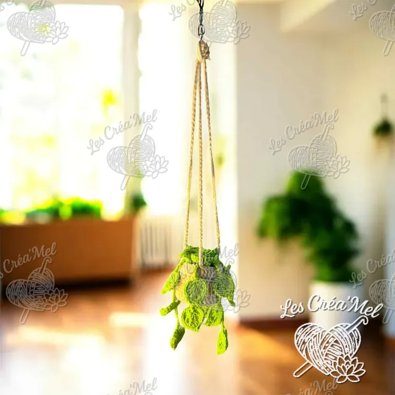 Plante suspendue